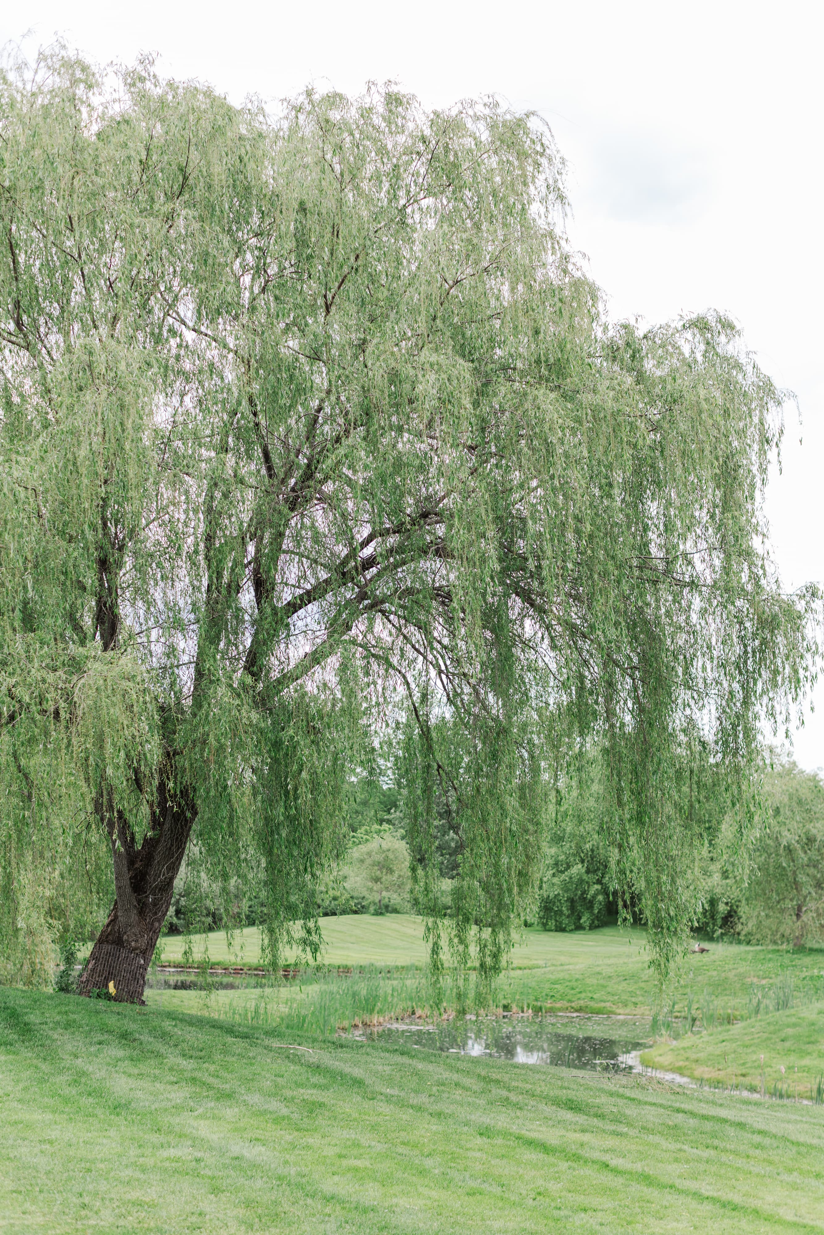 The Barns at Wesleyan Hills | Middletown, Connecticut